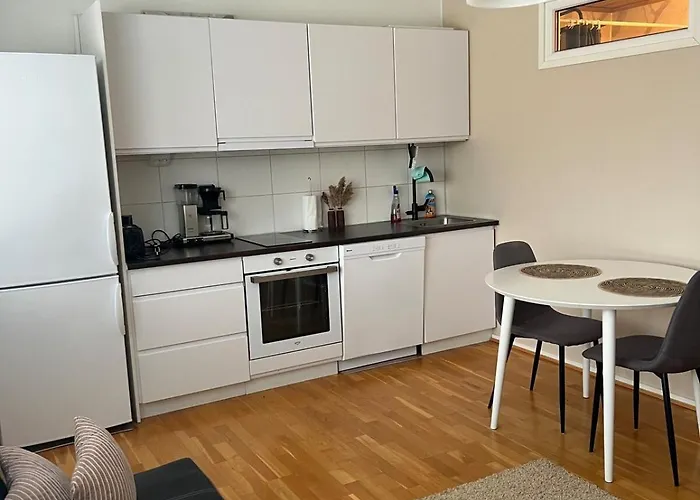 Metsaestaejaenkadun Yksioe * 科科拉